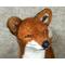 Fox face close up, golden glass eyes, black waxed nose, whiskers out of horse hair